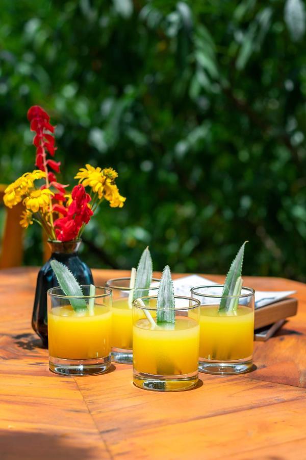 Sapa Riverside Ecolodge & Spa Bagian luar foto
